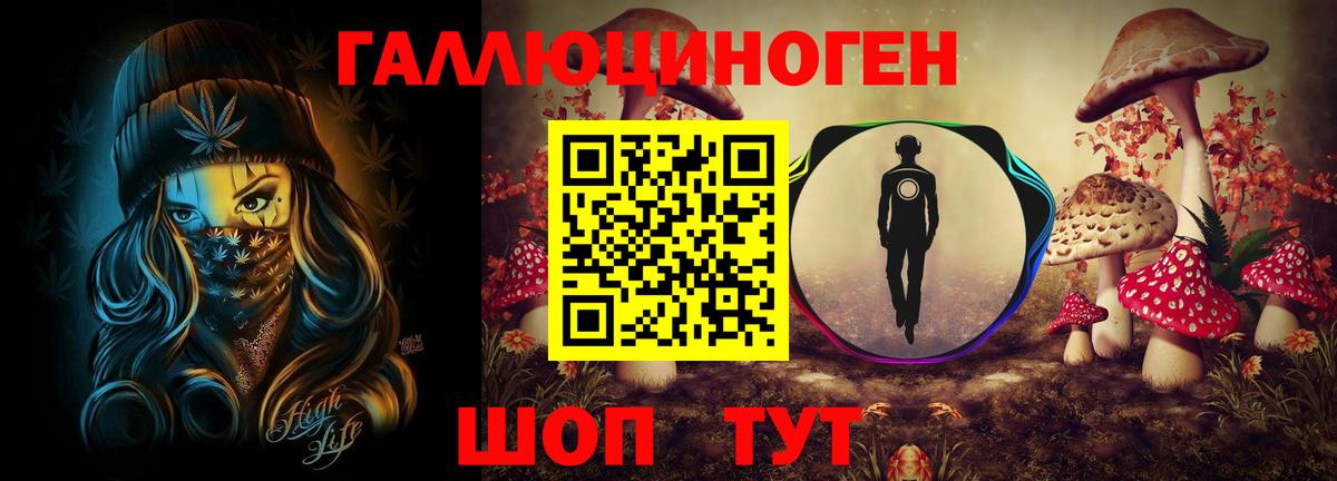 Дедовск  Галлюциногенные грибы Psilocybe  Вход с VPN 