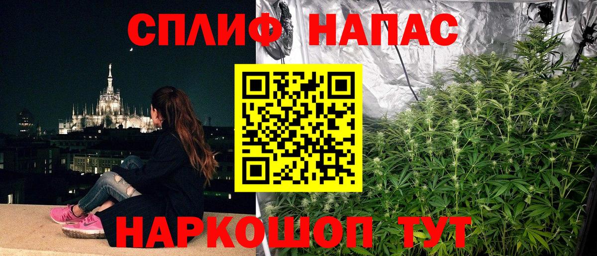 Канабис семена  Шишки марихуана планчик  Вход с VPN  Дедовск  Канабис марихуана 
